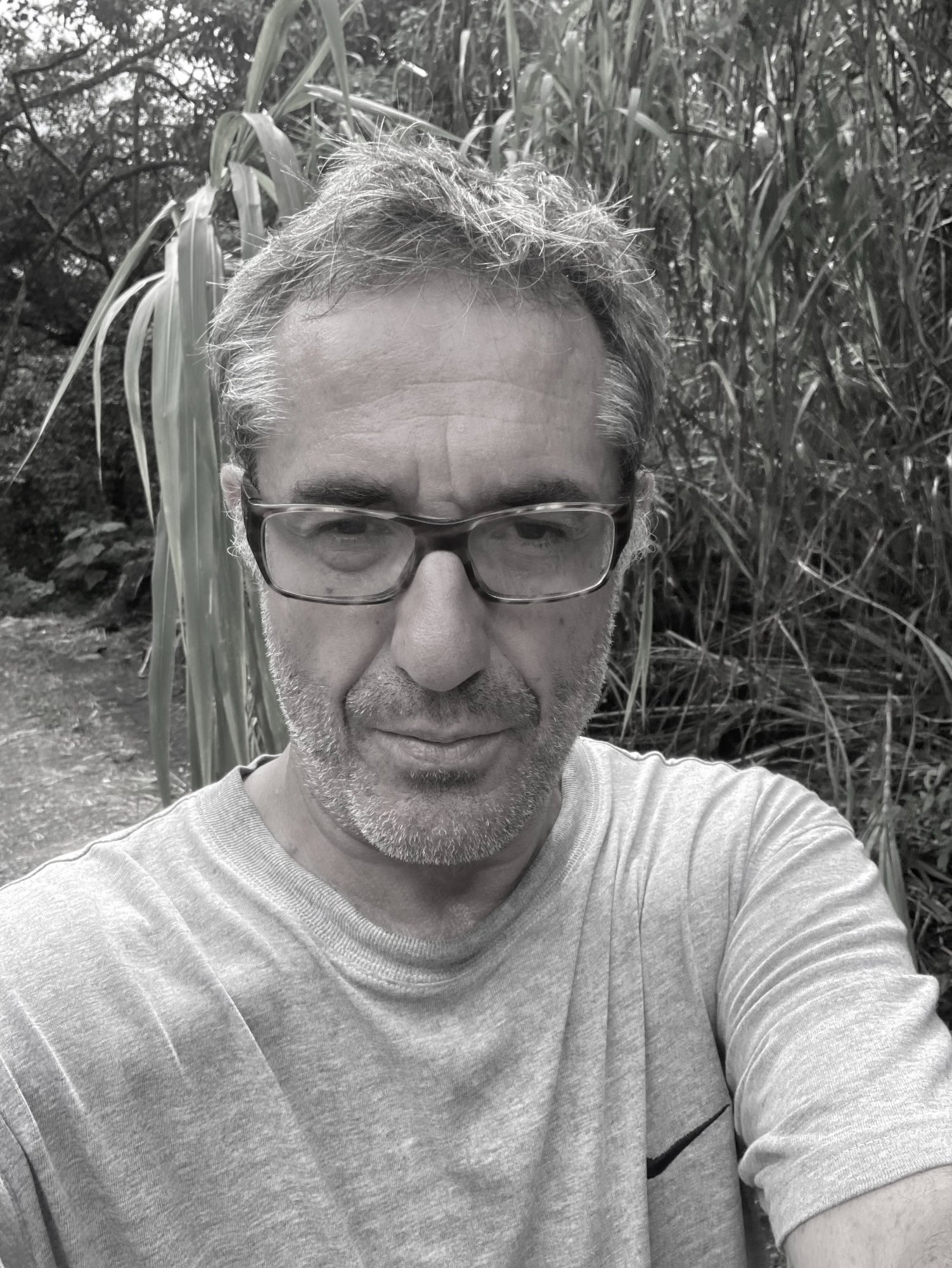 Camilo Ayerbe Posada